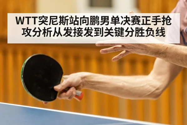 WTT突尼斯站向鹏男单决赛正手抢攻分析从发接发到关键分胜负线