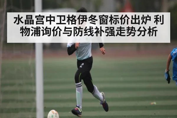 水晶宫中卫格伊冬窗标价出炉 利物浦询价与防线补强走势分析